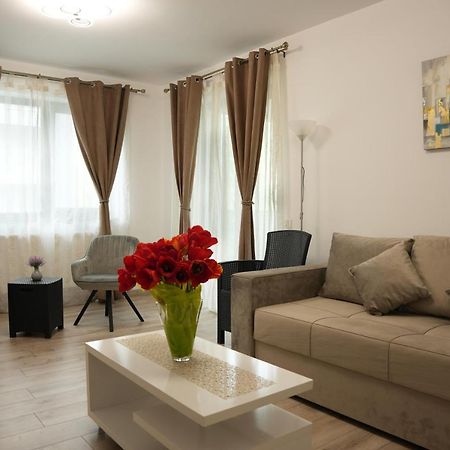 Brigitte Apartment Брашов Екстер'єр фото
