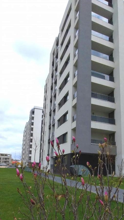 Brigitte Apartment Брашов Екстер'єр фото