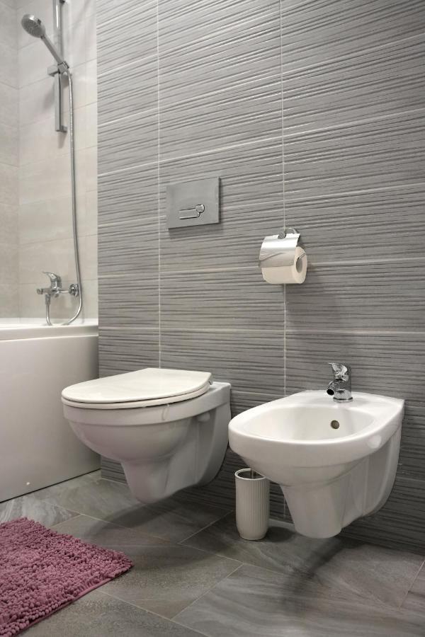 Brigitte Apartment Брашов Екстер'єр фото