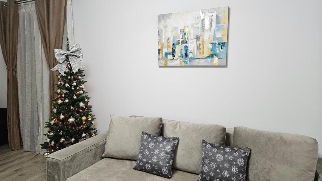 Brigitte Apartment Брашов Екстер'єр фото