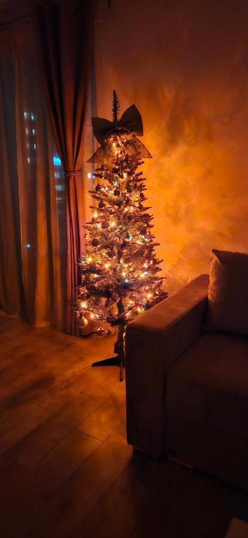 Brigitte Apartment Брашов Екстер'єр фото